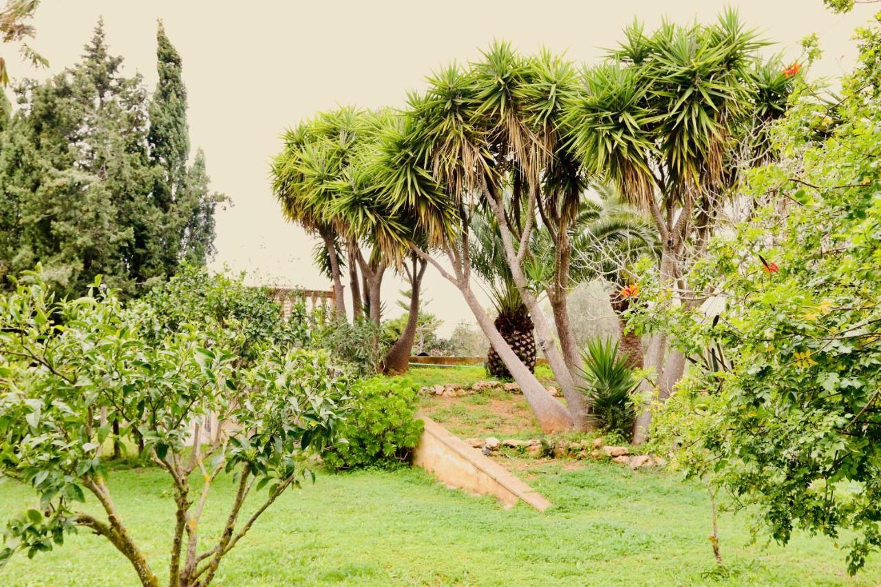 Finca Randa, Llucmayor, Bis 3 Sz, Pool, Garten Llucmajor  Bagian luar foto
