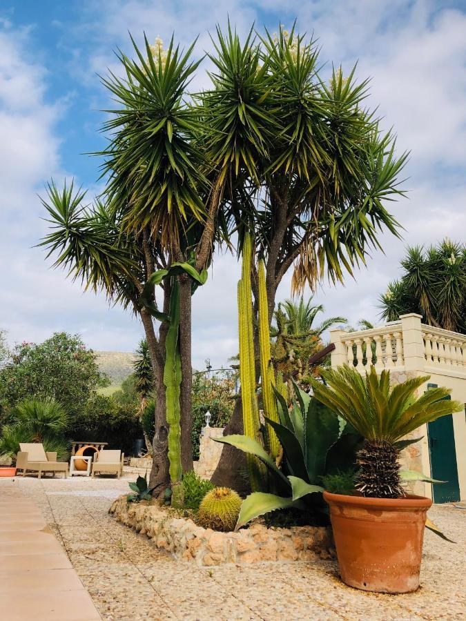 Finca Randa, Llucmayor, Bis 3 Sz, Pool, Garten Llucmajor  Bagian luar foto
