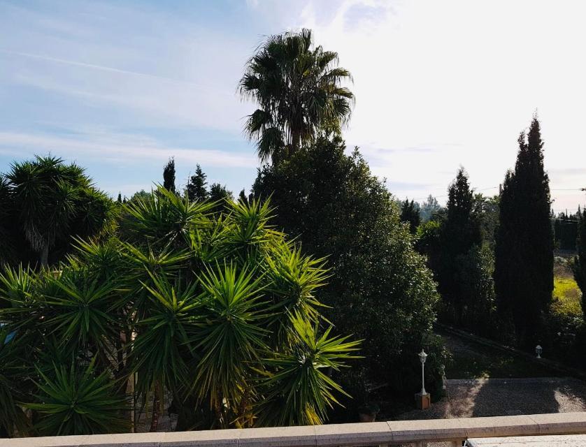 Finca Randa, Llucmayor, Bis 3 Sz, Pool, Garten Llucmajor  Bagian luar foto